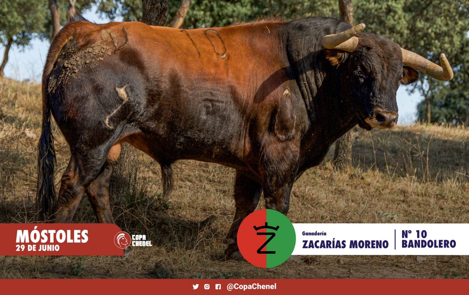 Los toros de Adolfo Martín y Zacarías Moreno para la final a tres de la ...