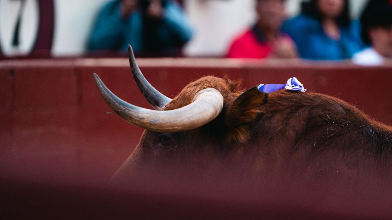 El torismo, eje del arranque de temporada en Las Ventas