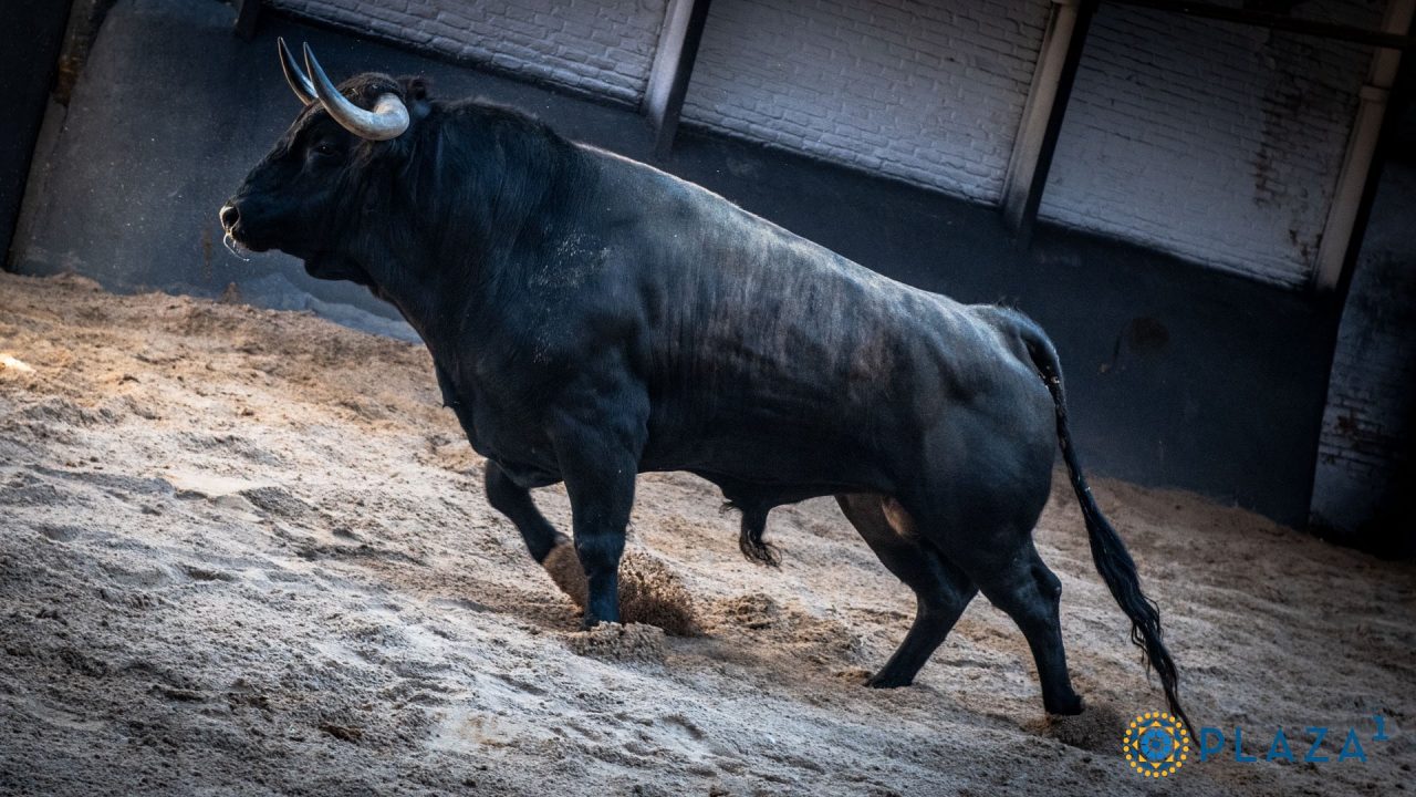 Seis de Dolores Aguirre para el Domingo de Ramos en Las Ventas
