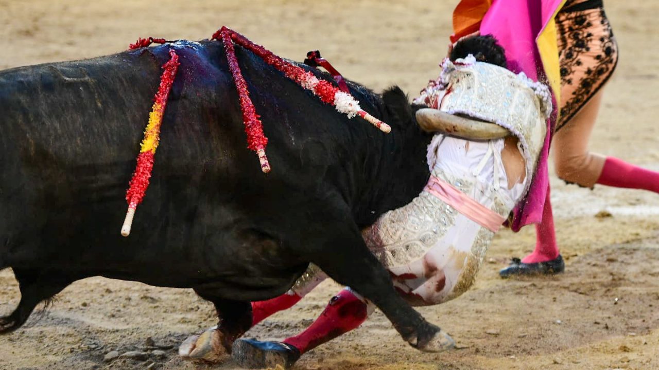 Horrorosa cogida a Cristian Pérez en el sexto en Las Ventas