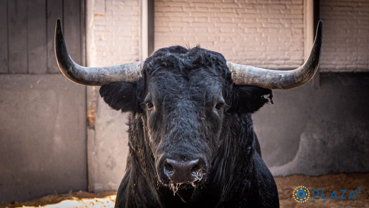 «Beduino», de Martín Lorca, abre la tarde de Resurrección en Las Ventas