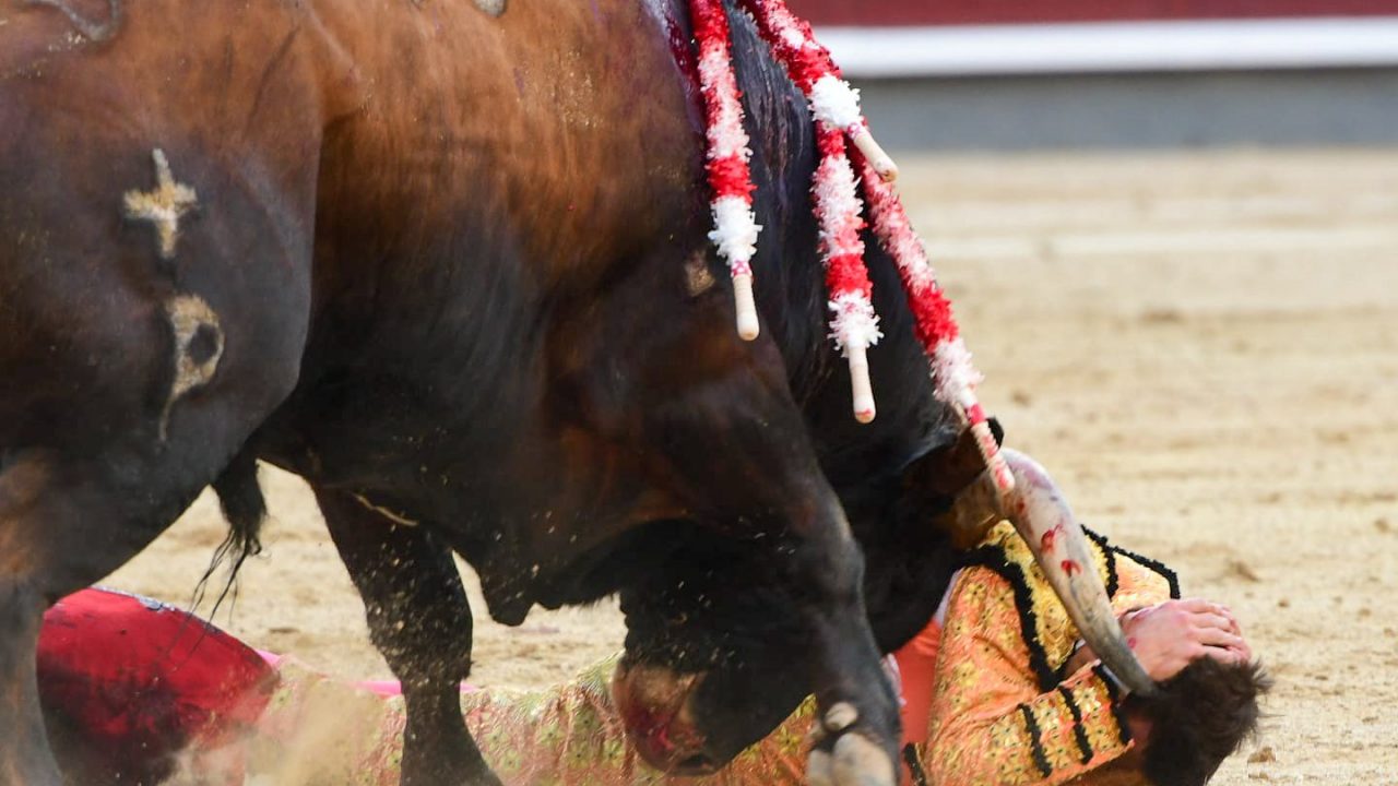 Luis Gerpe sufre una fuerte cogida con puntazo y varios traumatismos