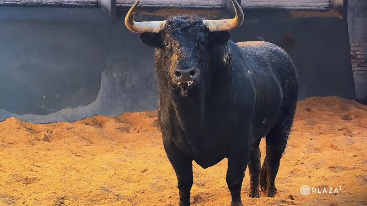 Los de Martín Lorca para el Domingo de Resurrección