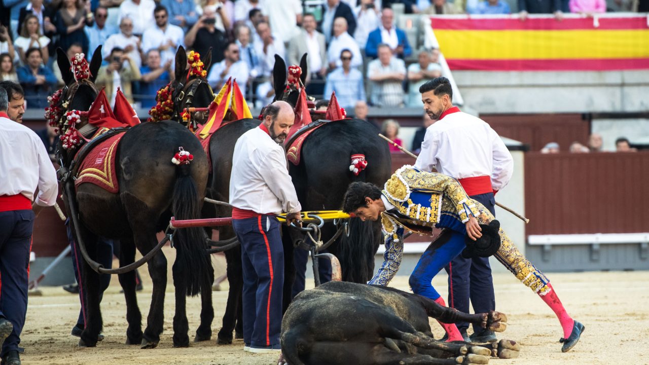 En imágenes la tarde de hoy en Las Ventas