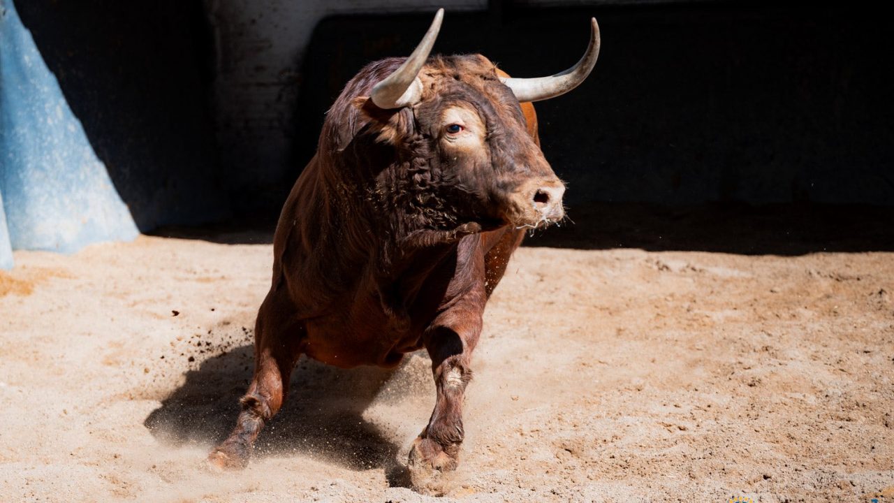 Toda la información para la Corrida de la Prensa en un «click»