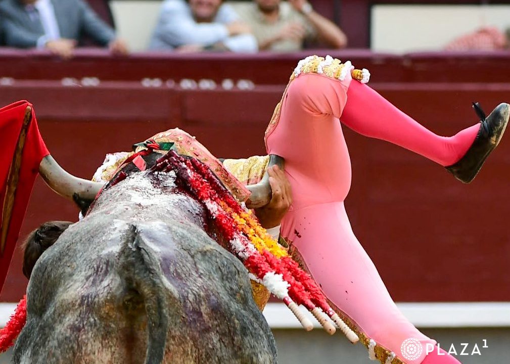 Ureña, cornada de dos trayectorias de 20 y 10 cm. que contusiona arteria femoral