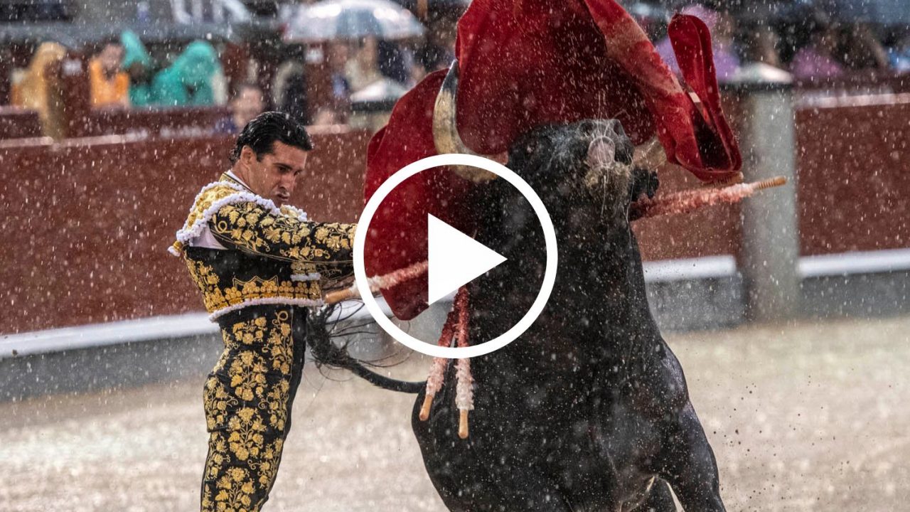 En vídeo, el resumen de la Corrida de Beneficencia