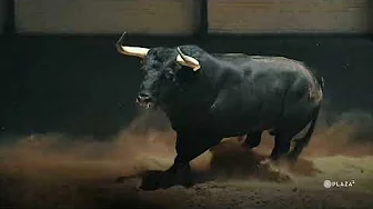 Desembarque de los toros de El Capea y Carmen Lorenzo para la final de la Copa Chenel