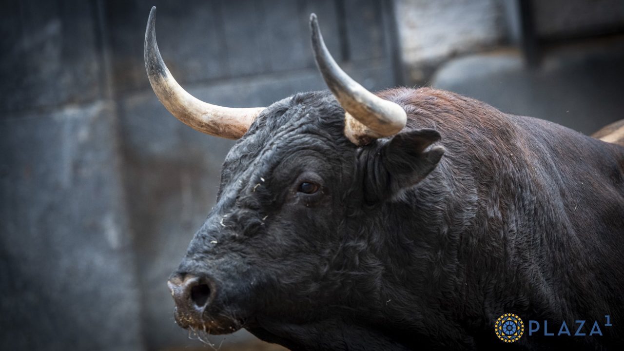 Seis de Pedraza de Yeltes para la última cita del mes en Las Ventas