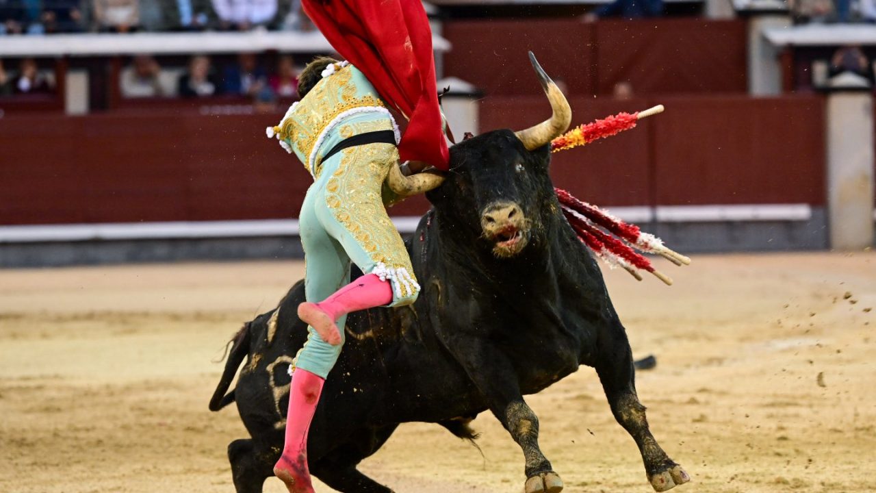 Escalofriante cogida de Christian Parejo al entrar a matar a su primer toro